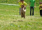 57ec0261596a9-140-100.jpg